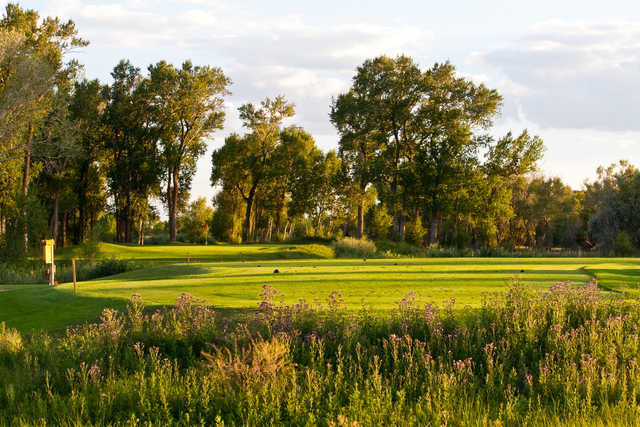 Cattails Golf Club in Alamosa Cattails Golf Club in Alamosa