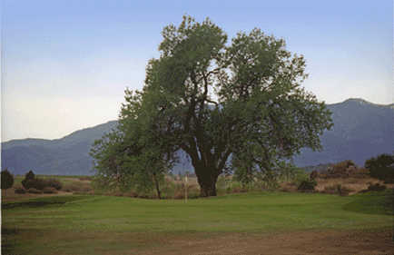 West Nine at Hollydot Golf Course in Colorado City