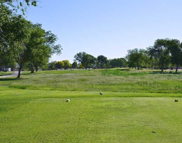 Desert Hawk at Pueblo West in Pueblo West