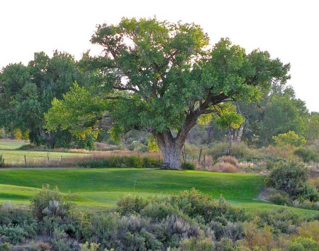 South Forty Golf Course & Driving Range in Cortez