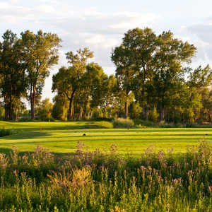 Cattails GC: #13