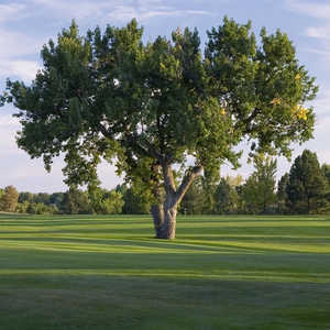 Greg Mastriona GC at Hyland Hills