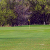 A view of green at Link-N-Greens Golf Course
