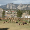 A view from Lake Estes Executive 9 Hole Course.