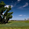 A view of green at Green Valley Ranch Golf Club